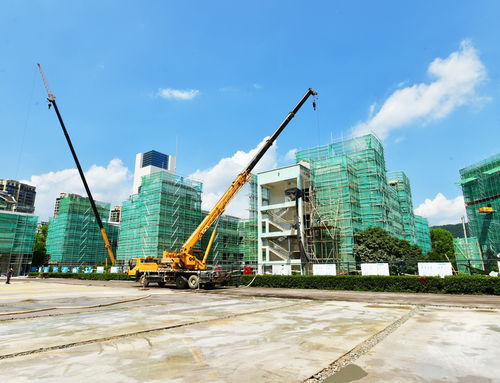 明珠小學改擴建工程有序推進，景觀工程為校園增添新氣象